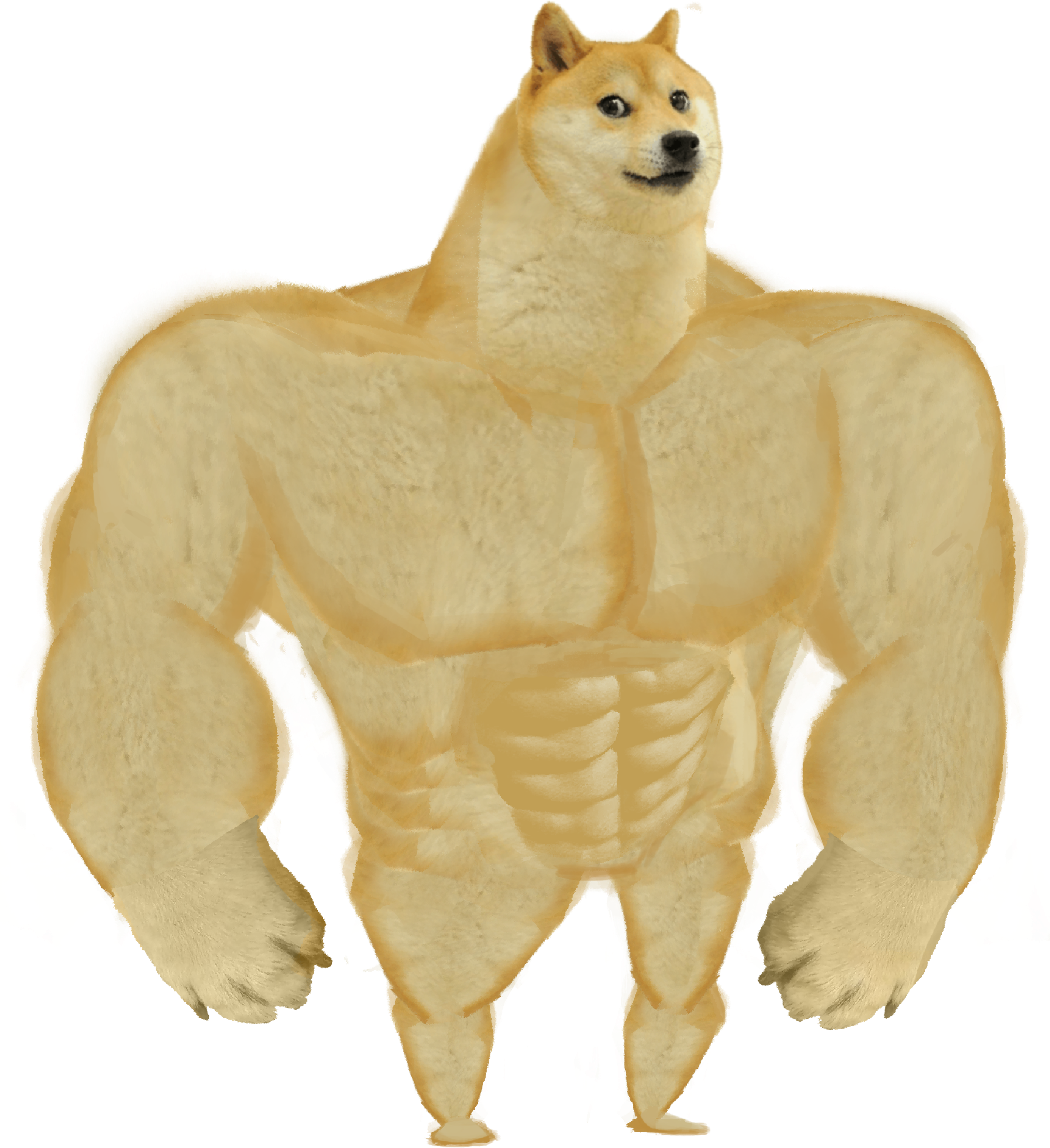 super_doge